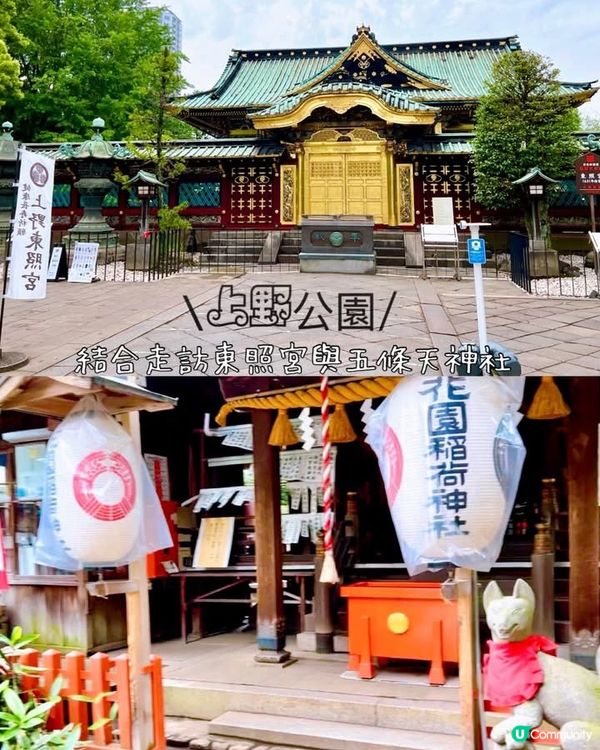 『東京』散步上野公園｜結合走訪東照宮與五條天神社