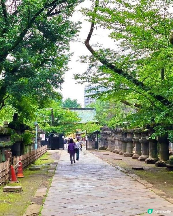 『東京』散步上野公園｜結合走訪東照宮與五條天神社