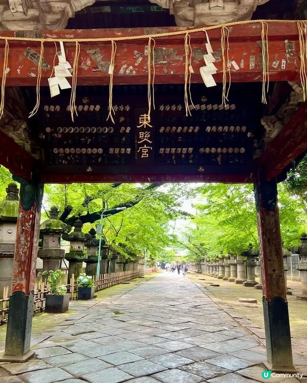 『東京』散步上野公園｜結合走訪東照宮與五條天神社