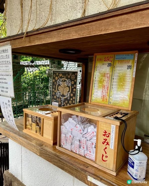 『東京』散步上野公園｜結合走訪東照宮與五條天神社