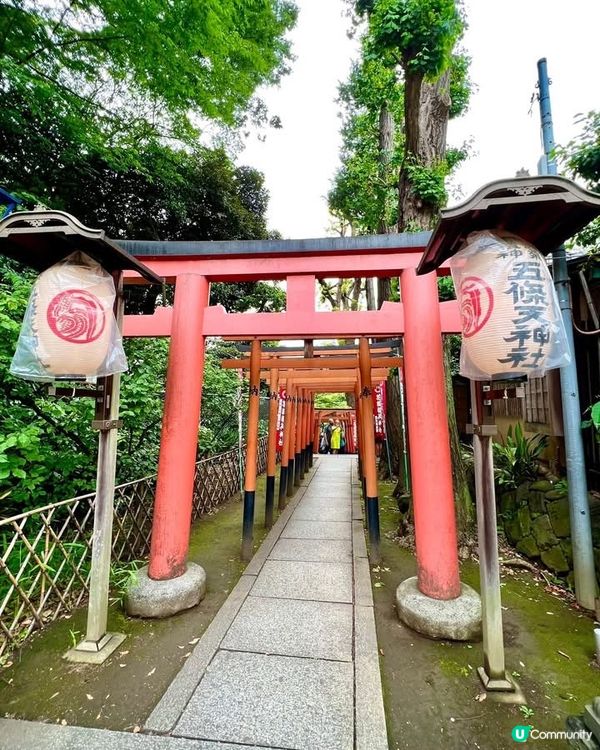『東京』散步上野公園｜結合走訪東照宮與五條天神社