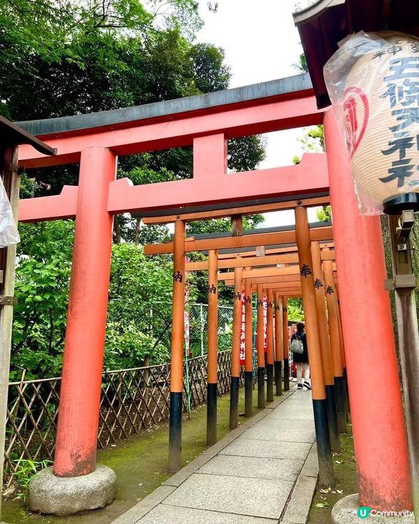 『東京』散步上野公園｜結合走訪東照宮與五條天神社