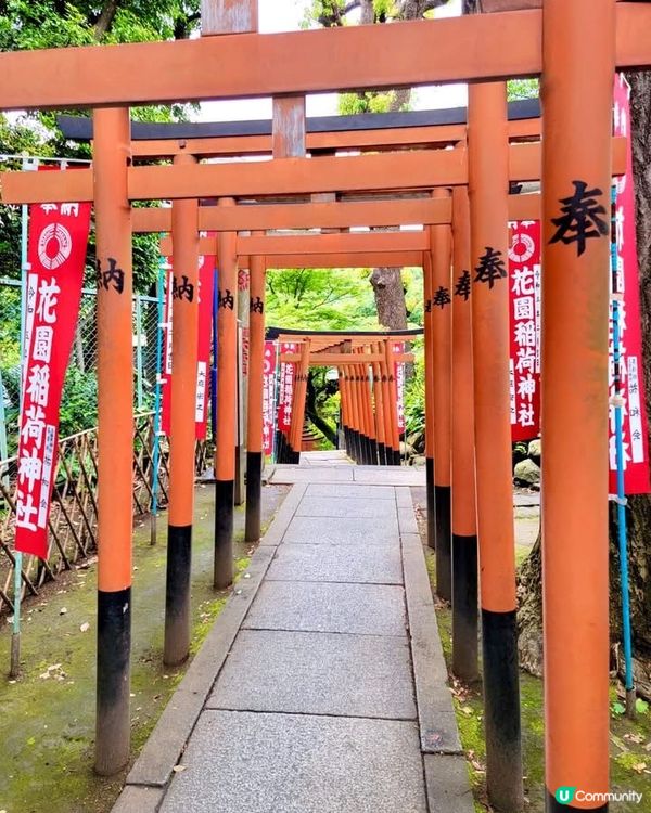 『東京』散步上野公園｜結合走訪東照宮與五條天神社