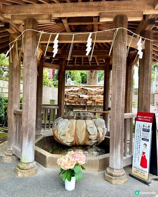 『東京』散步上野公園｜結合走訪東照宮與五條天神社