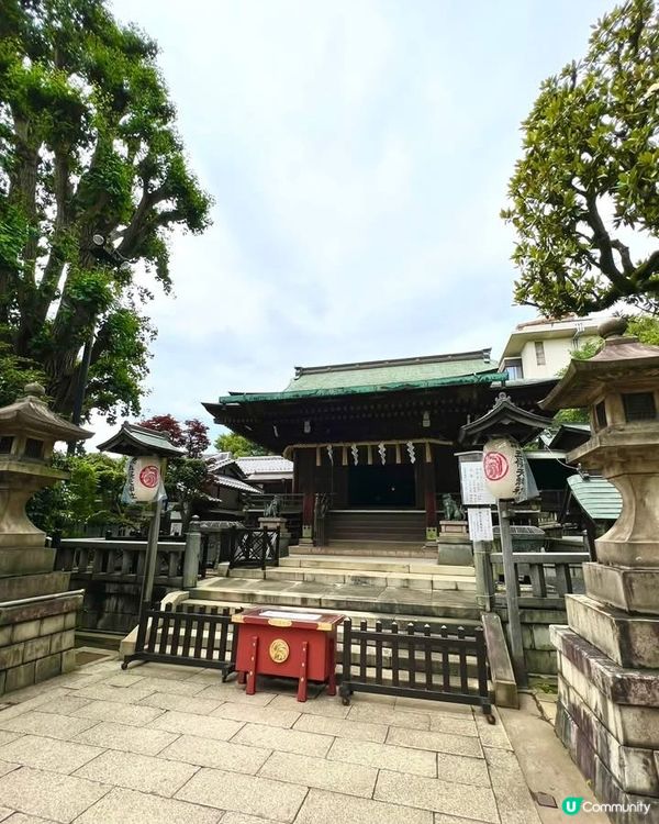 『東京』散步上野公園｜結合走訪東照宮與五條天神社