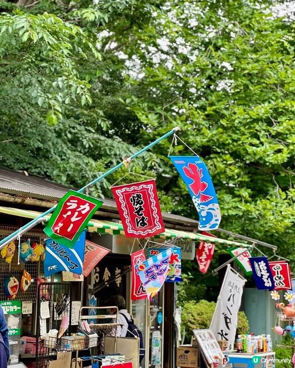 『東京』散步上野公園｜結合走訪東照宮與五條天神社