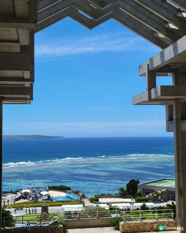 ⬆️🌎沖繩最北 Starbucks ☕️