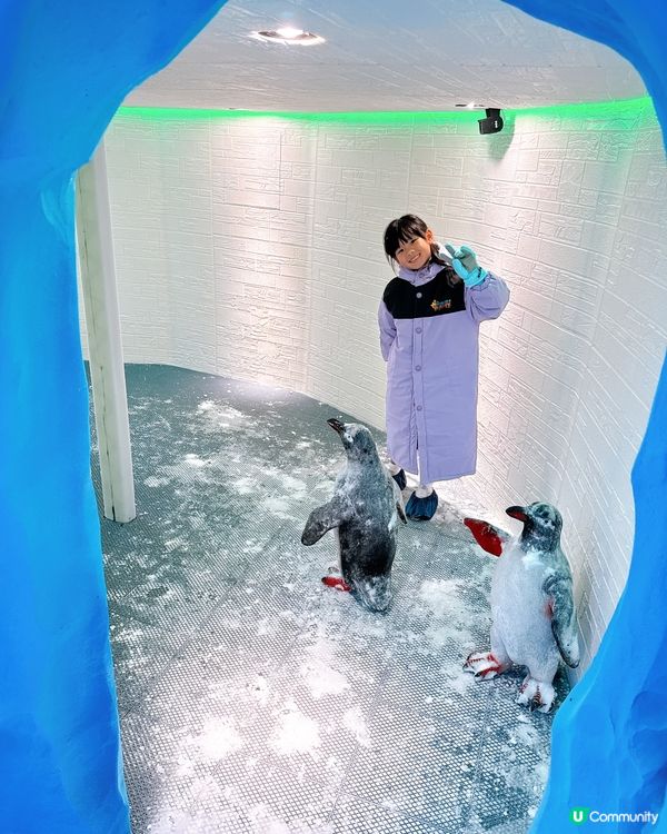 歡樂天地灣仔旗艦店🥳！童年回憶返晒嚟！🎠