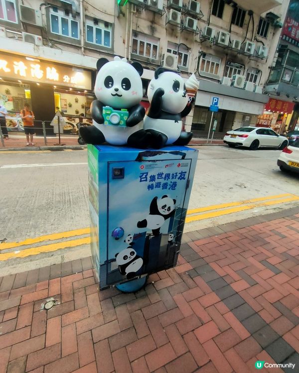 熊貓信箱打卡📸！佐敦必去，近星展銀行！🍦🐼