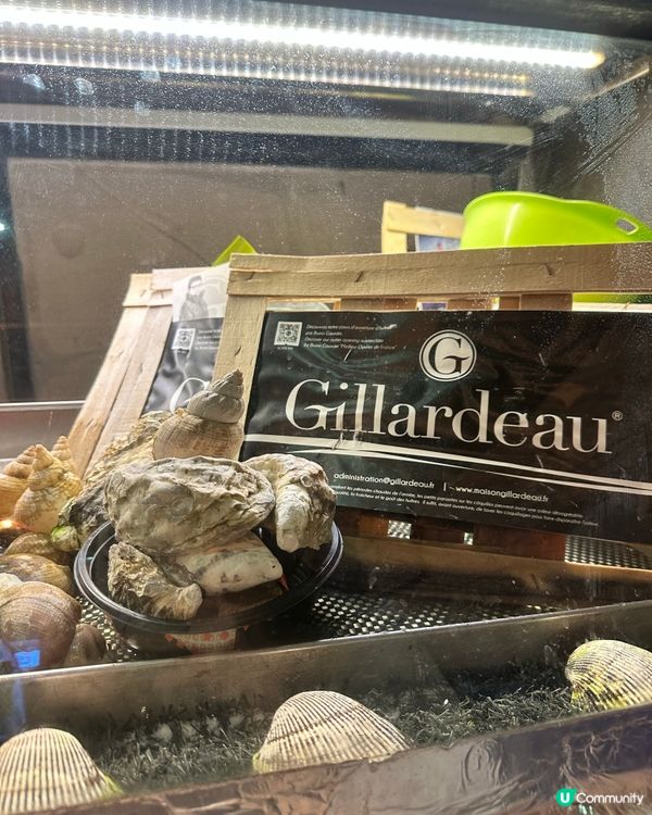 蠔吧約會🤤！食蠔補身😋！