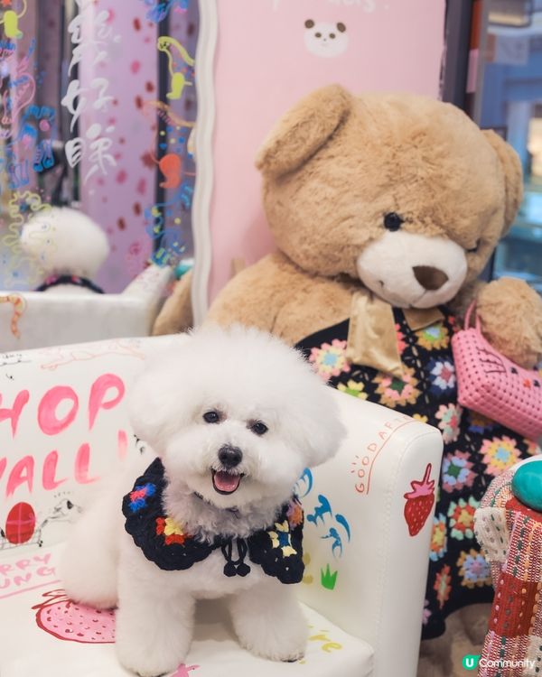 📸 捕捉每個瞬間，留住永恆！✨ #攝影 #時間暫停