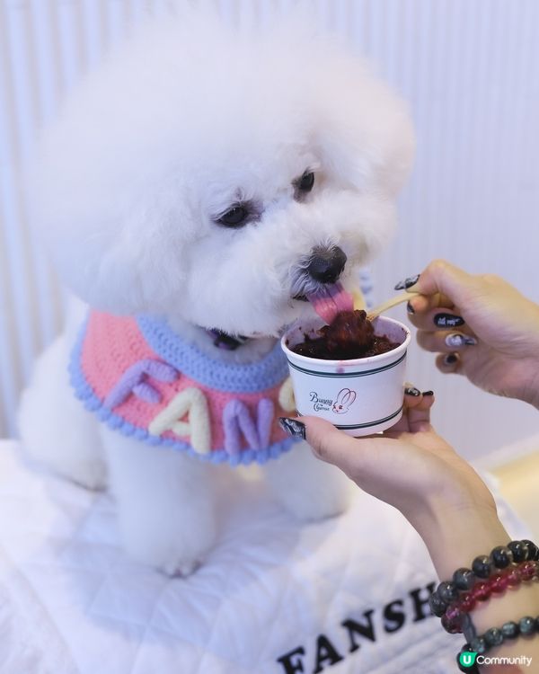 夏日透心涼綿綿冰🤤 🍧寵物都Like! 食到舔舔脷！