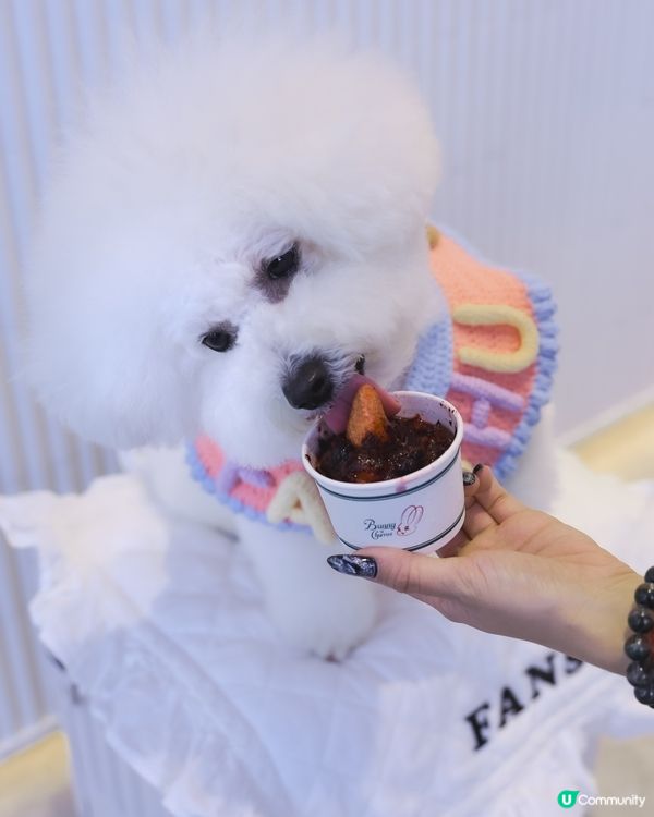 夏日透心涼綿綿冰🤤 🍧寵物都Like! 食到舔舔脷！