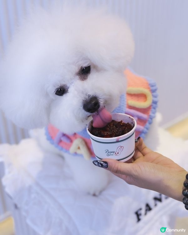 夏日透心涼綿綿冰🤤 🍧寵物都Like! 食到舔舔脷！