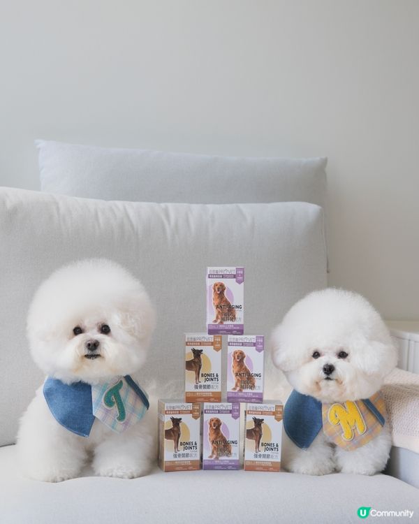 【送禮】U Community 社群 送「位您寵」狗狗保健品！