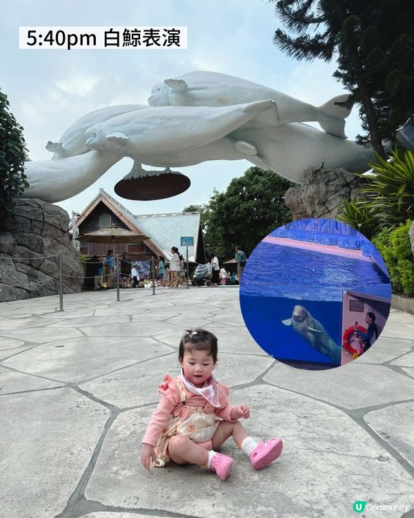 珠海長隆瘋狂之旅！🥳 三日兩夜玩到癲！🌊🐬