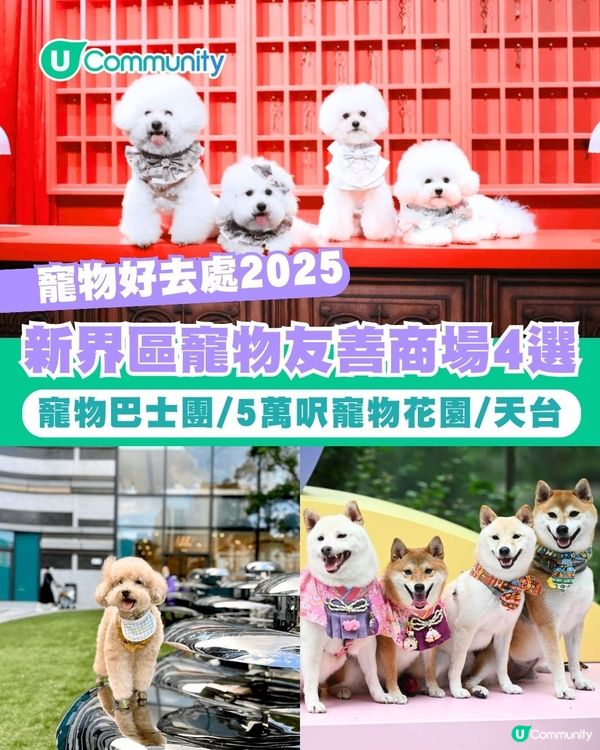 寵物好去處2025｜新界區寵物友善商場4選 寵物巴士團/5萬呎寵物花園