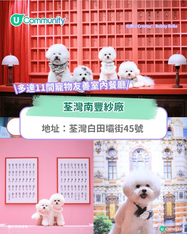 寵物好去處2025｜新界區寵物友善商場4選 寵物巴士團/5萬呎寵物花園