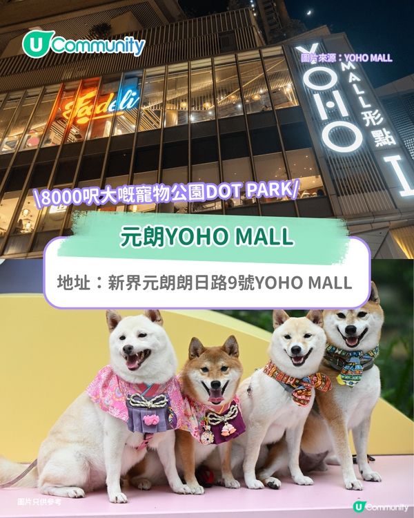 寵物好去處2025｜新界區寵物友善商場4選 寵物巴士團/5萬呎寵物花園