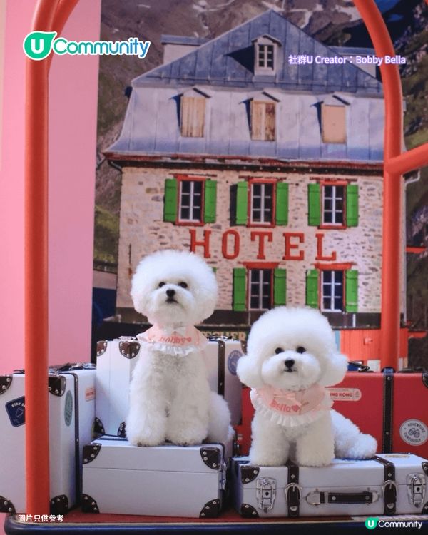 寵物好去處2025｜新界區寵物友善商場4選 寵物巴士團/5萬呎寵物花園