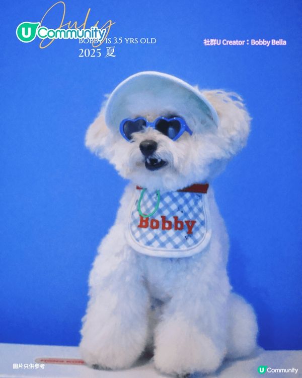 寵物好去處2025｜新界區寵物友善商場4選 寵物巴士團/5萬呎寵物花園