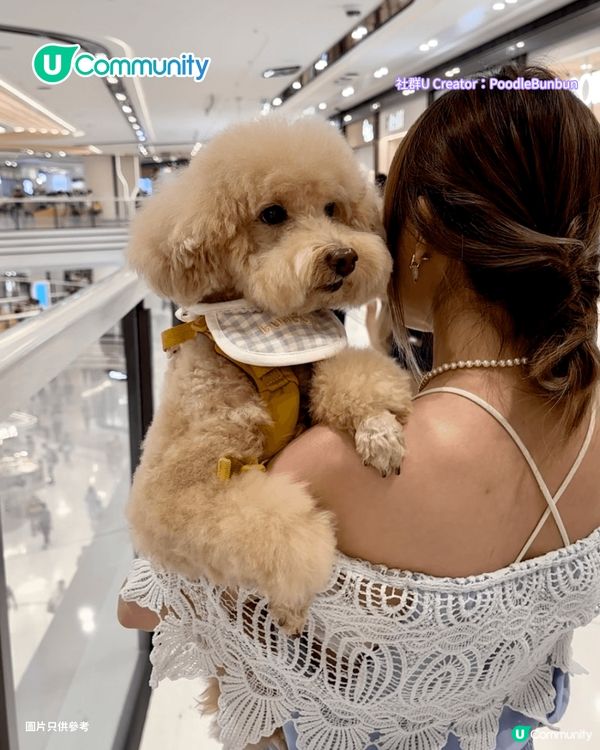 寵物好去處2025｜新界區寵物友善商場4選 寵物巴士團/5萬呎寵物花園