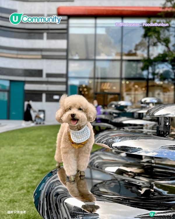 寵物好去處2025｜新界區寵物友善商場4選 寵物巴士團/5萬呎寵物花園