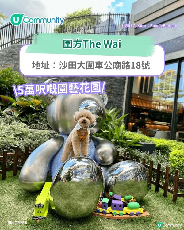 寵物好去處2025｜新界區寵物友善商場4選 寵物巴士團/5萬呎寵物花園