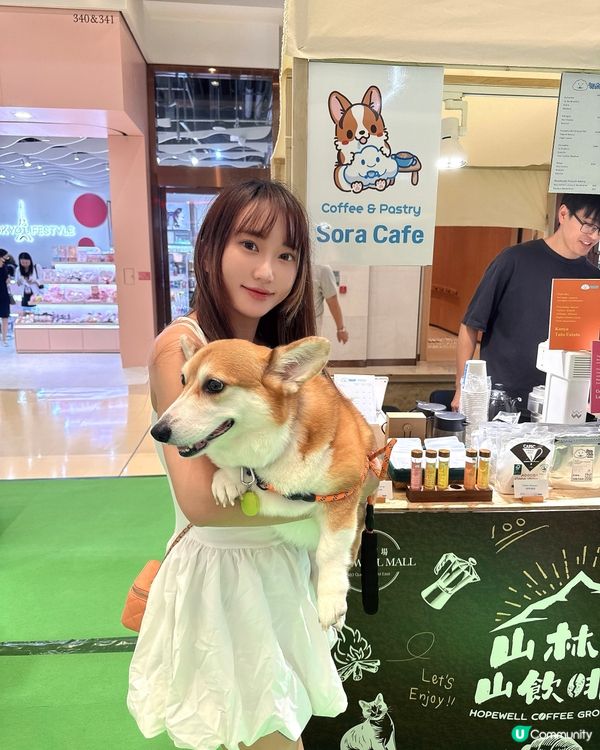 今次又同貝貝🐶去咗灣仔合和商場玩丫🥰嘆咖啡廳音樂