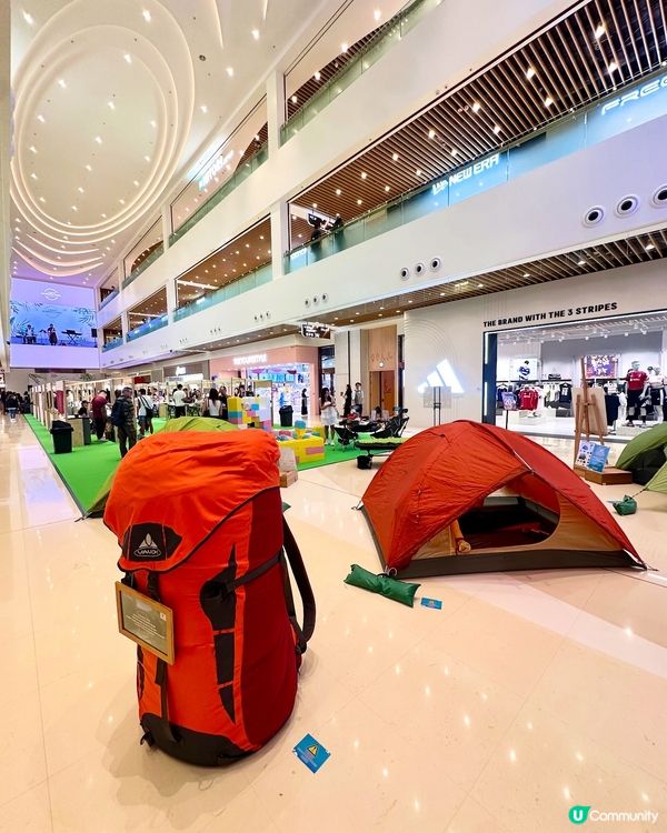 合和山林祭！咖啡+音樂+毛孩 🐶🎶☕️