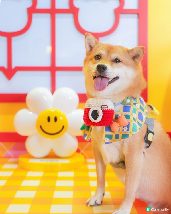 Wiggle Wiggle 港式主題