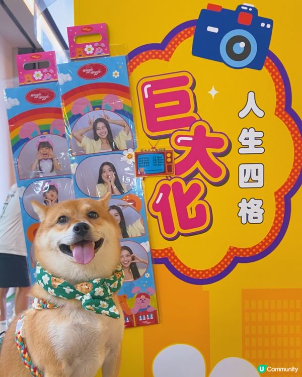 Wiggle Wiggle 港式主題