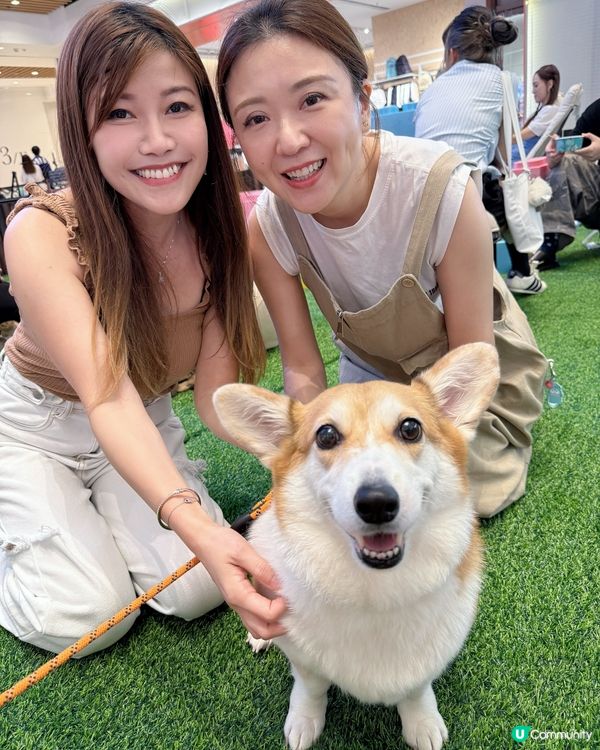 😍召喚音樂控和小動物奴才🐶🐱 #打卡玩樂好去處