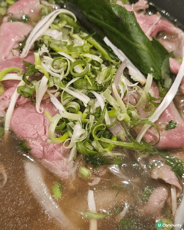 太古芽莊越南菜好味值得推介 可粉潤滑牛肉嫩滑 蛋餅餡多蛋香脆...