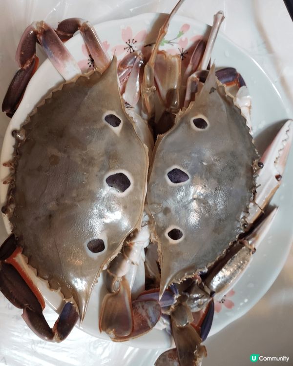 🦀賞月配雙蟹🦀