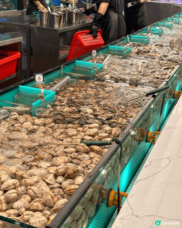 第一次食鮮活海鮮任撈嘅火鍋自助餐廳🤣🤣超多海鮮選擇，食多兩轉...