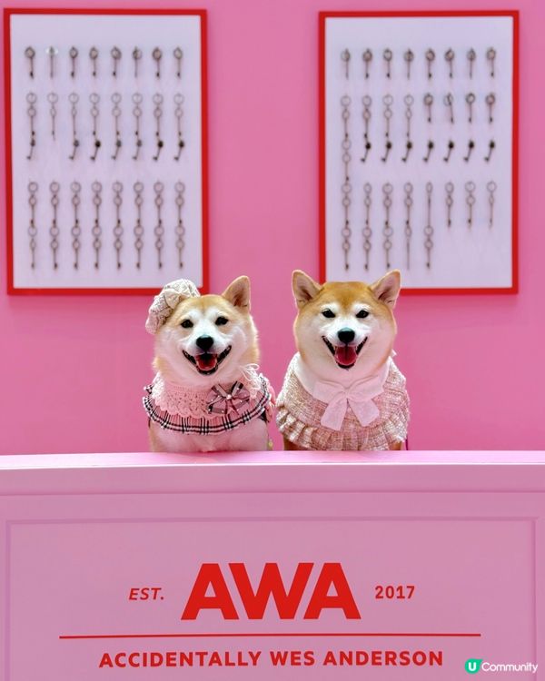 WES ANDERSON 世界美學展覽