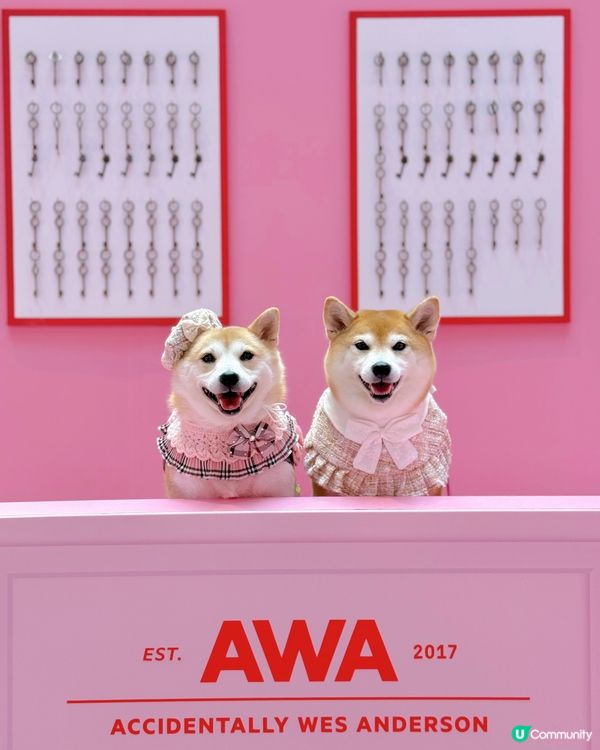 WES ANDERSON 世界美學展覽