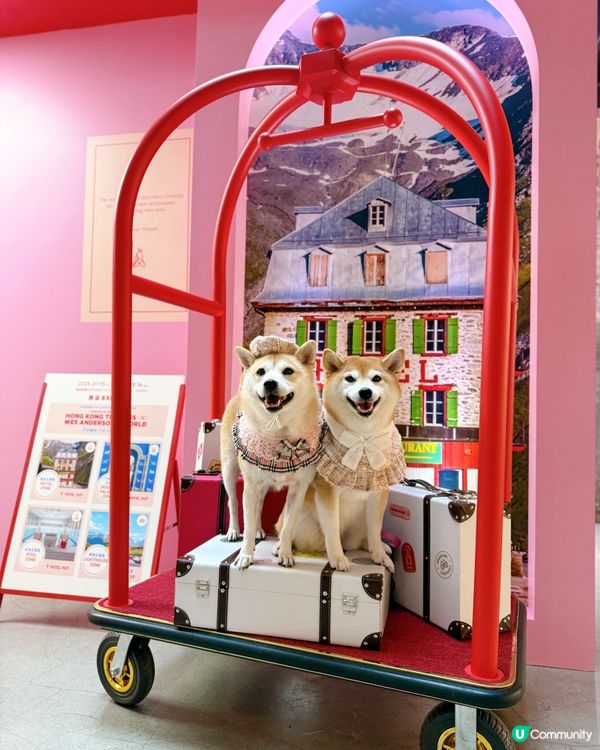 WES ANDERSON 世界美學展覽