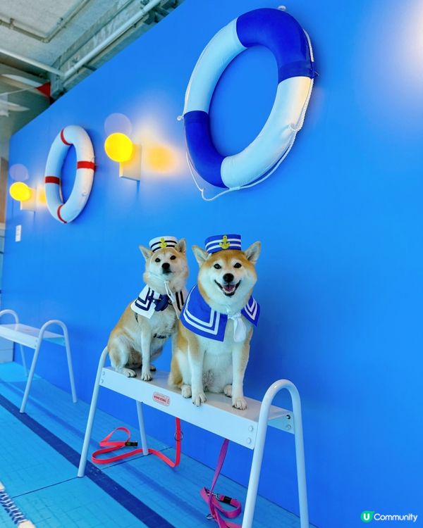 WES ANDERSON 世界美學展覽