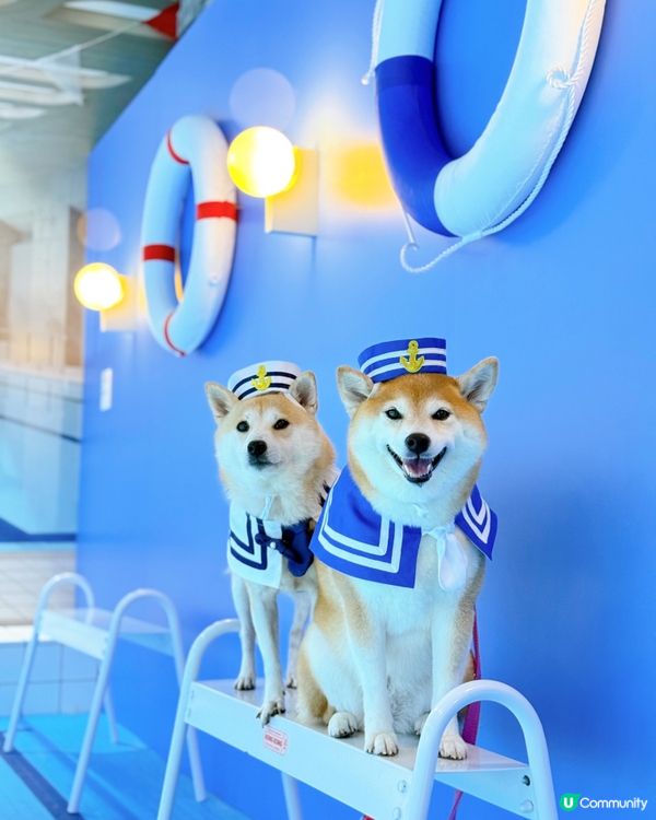 WES ANDERSON 世界美學展覽