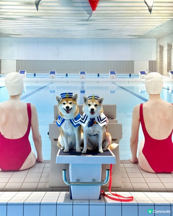 WES ANDERSON 世界美學展覽