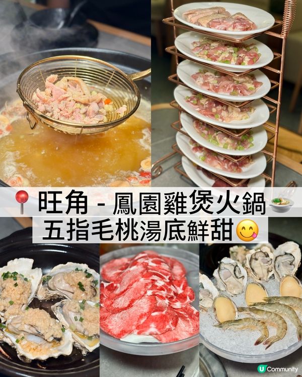 香港美食🇭🇰｜旺角｜鳳園雞煲火鍋🍲｜五指毛桃脆皮雞煲