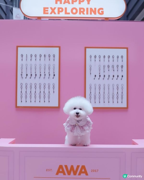 粉色控注意！📸 紗廠攝影展超好影！💖✨