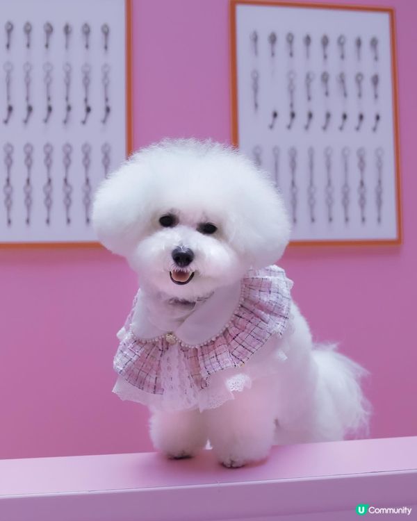 粉色控注意！📸 紗廠攝影展超好影！💖✨