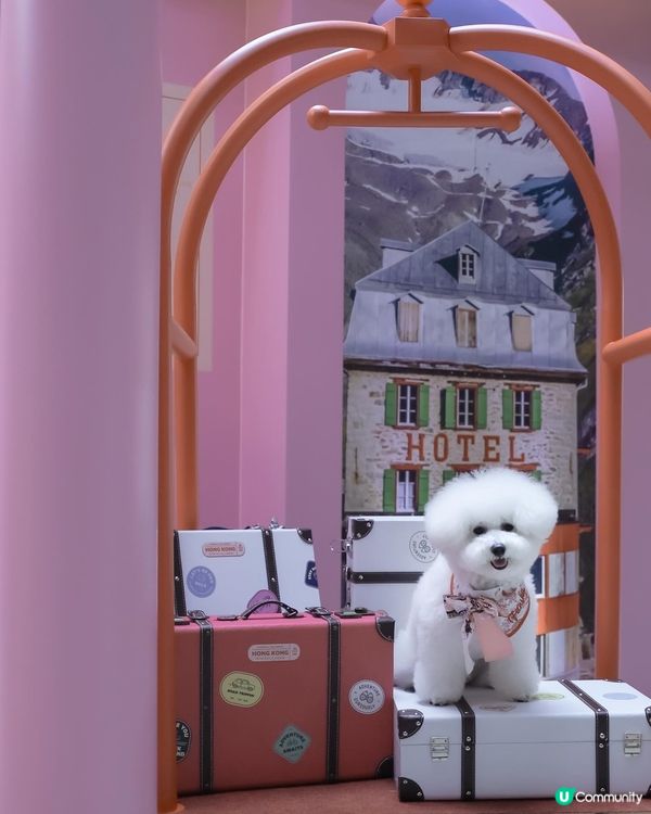 粉色控注意！📸 紗廠攝影展超好影！💖✨