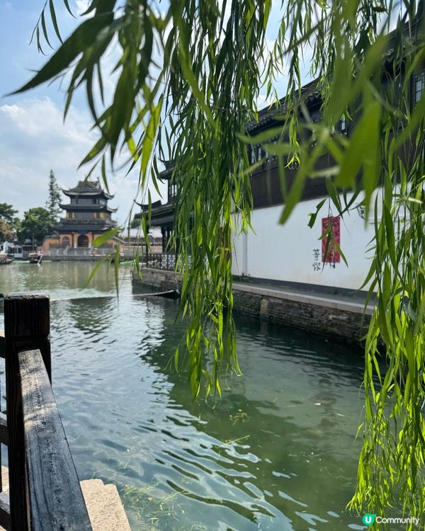 朱家角一日遊！輕鬆玩轉江南水鄉 🤩 靚爆！