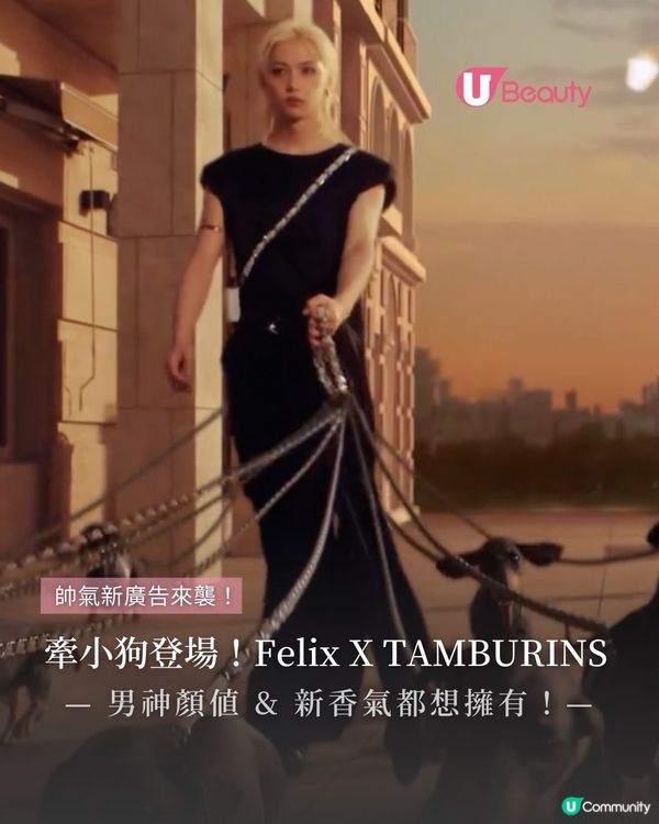 牽小狗登場！Felix X TAMBURINS！最新系列開售