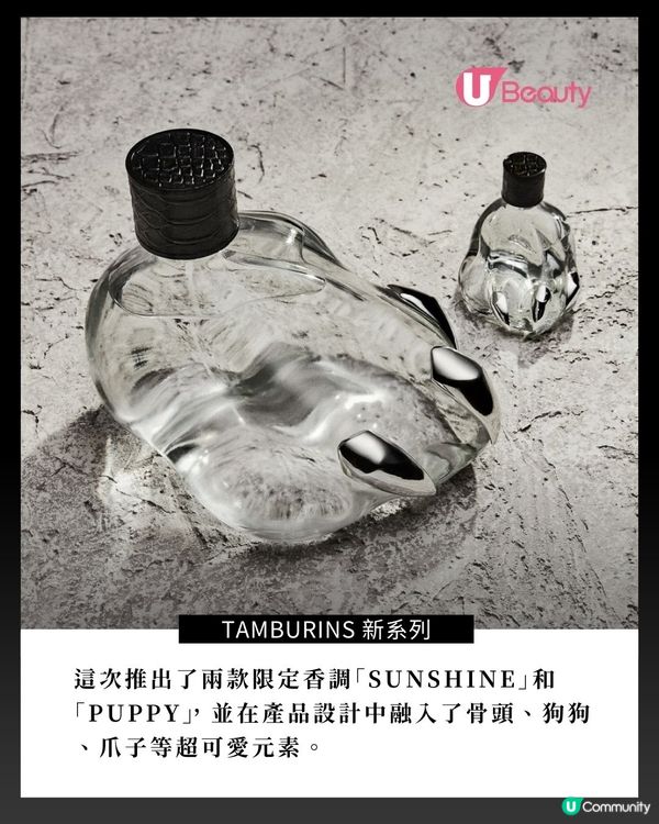 牽小狗登場！Felix X TAMBURINS！最新系列開售