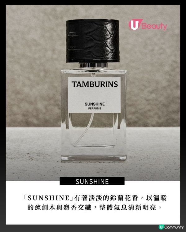 牽小狗登場！Felix X TAMBURINS！最新系列開售
